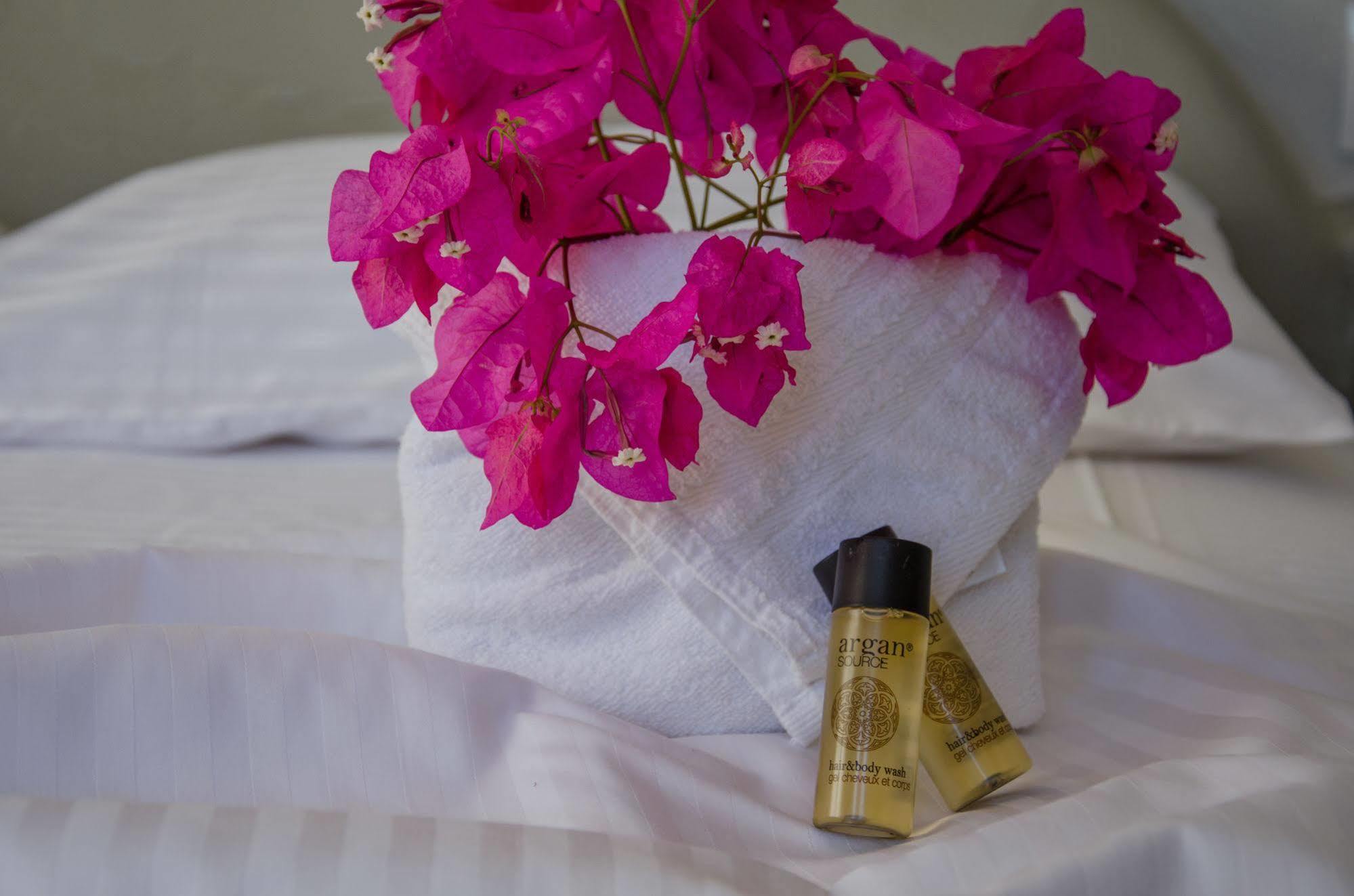 Olga Aparthotel Chora  Ngoại thất bức ảnh